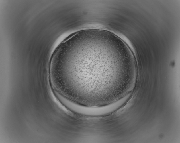 X0000091951389200709271317