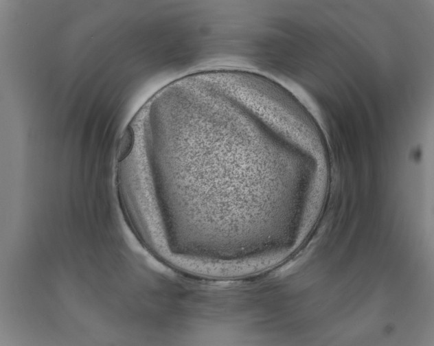 X0000091951390200709271317