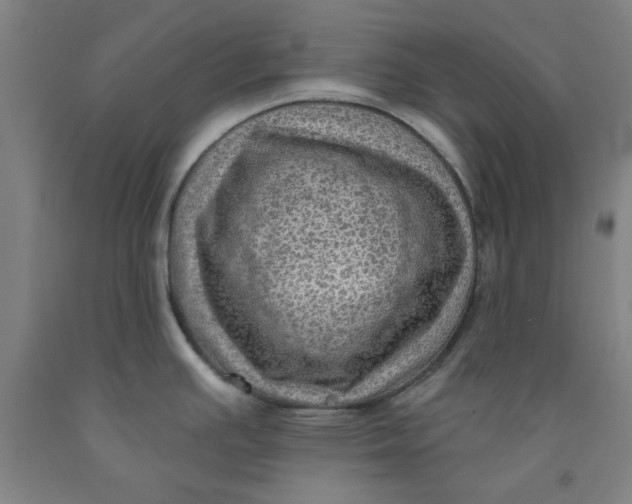 X0000091951391200709271317