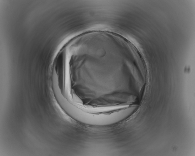 X0000091951392200709271317