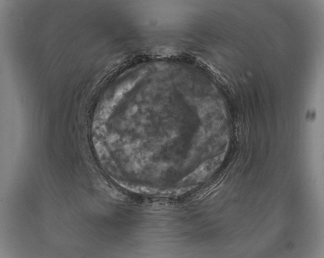 X0000091951393200709271316