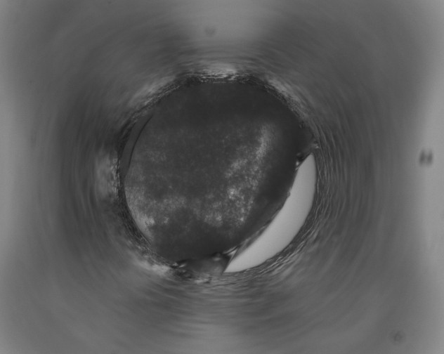 X0000091951394200709271316