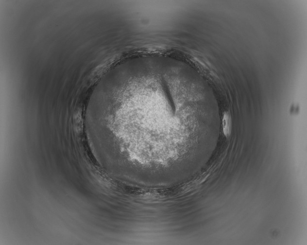 X0000091951395200709271316