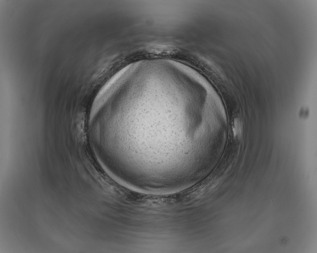 X0000091951396200709271316