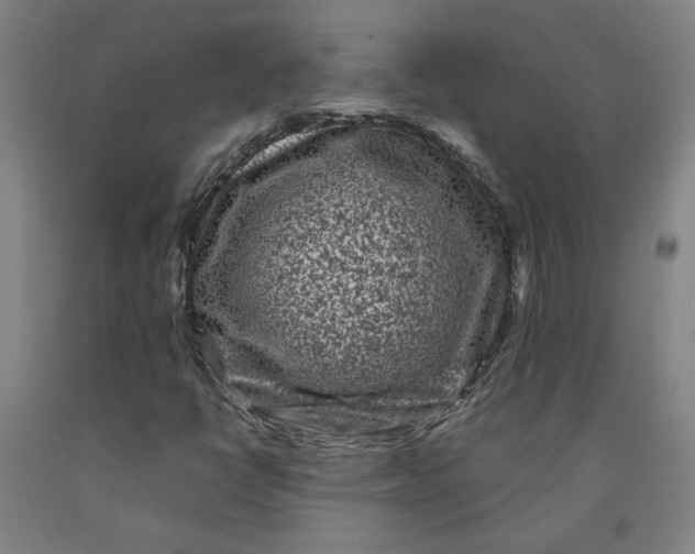 X0000091951398200709271316