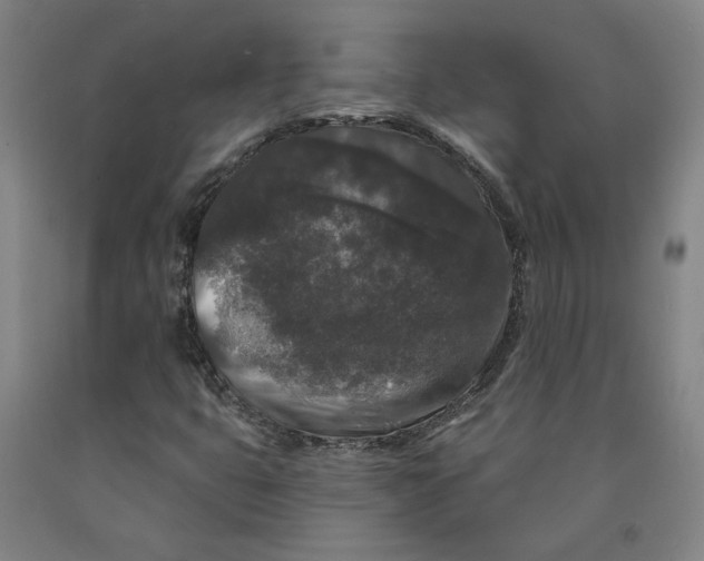 X0000091951399200709271316