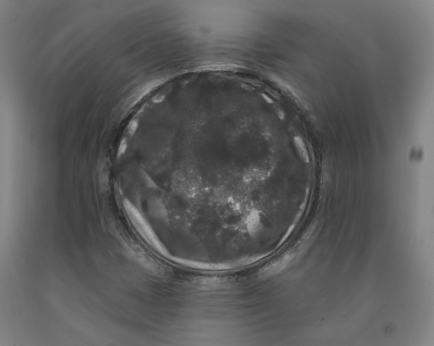 X0000091951401200709271316