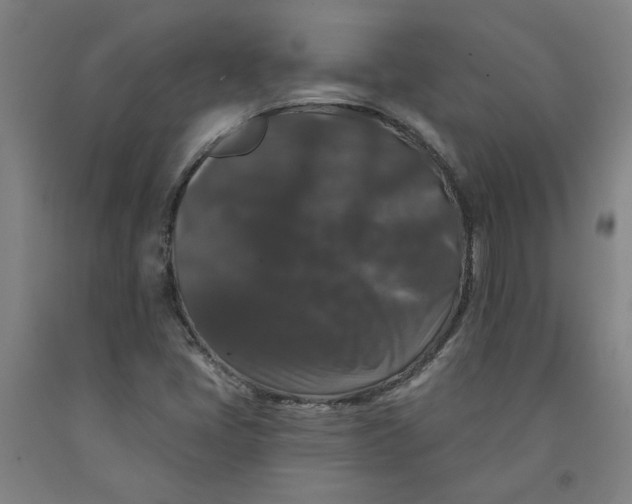 X0000091951405200709271317