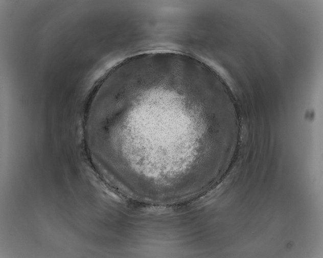 X0000091951407200709271317