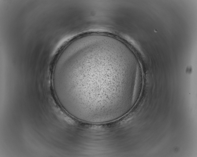 X0000091951408200709271317