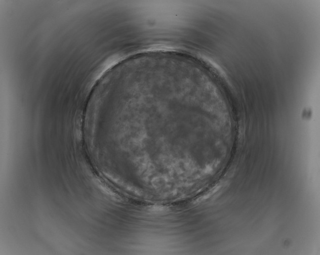 X0000091951409200709271317