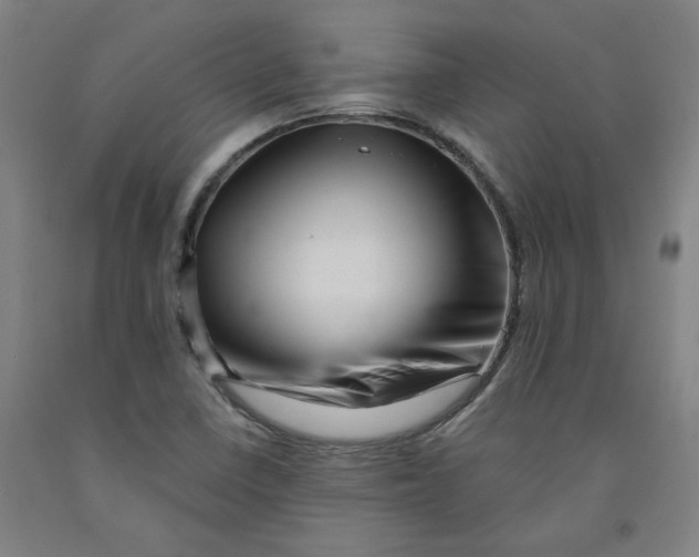 X0000091951410200709271317