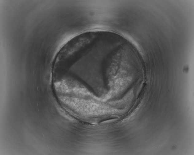 X0000091951413200709271317