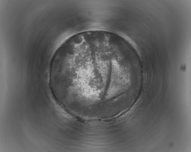 X0000091951415200709271317