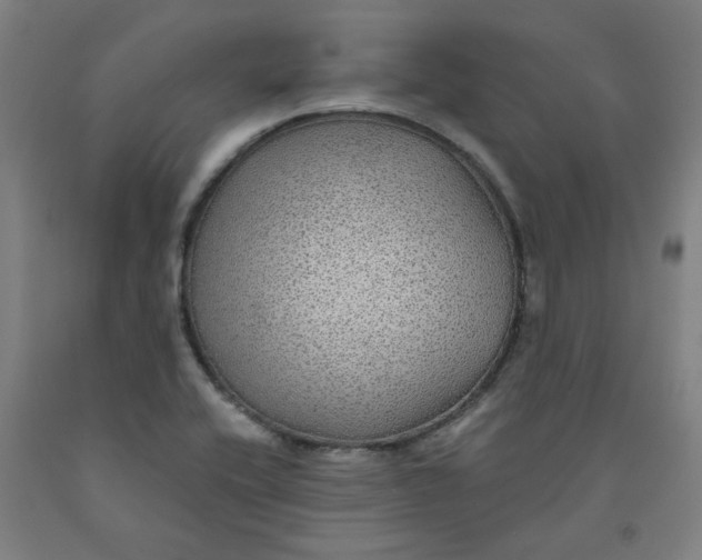 X0000091951416200709271317