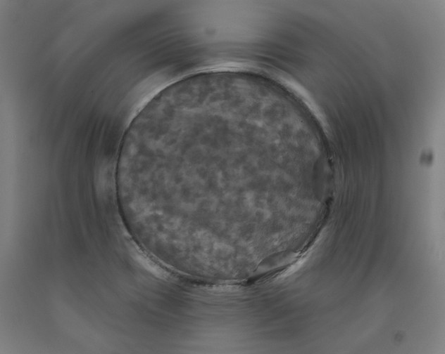 X0000091951417200709271317