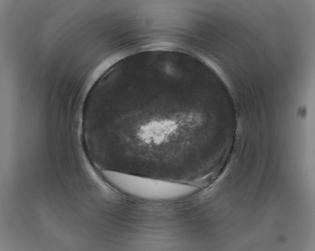 X0000091951418200709271317