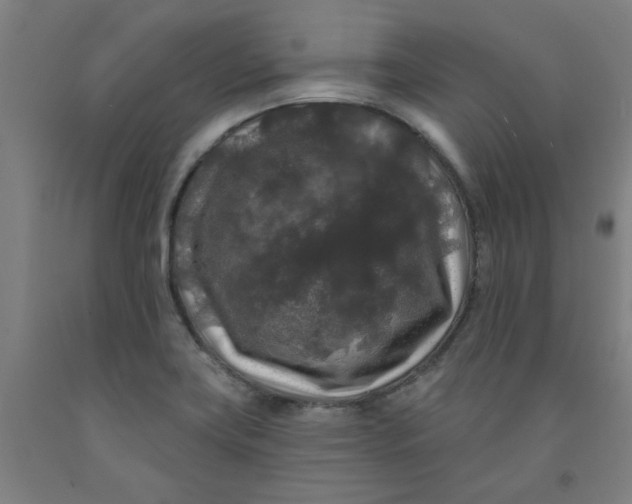 X0000091951419200709271317