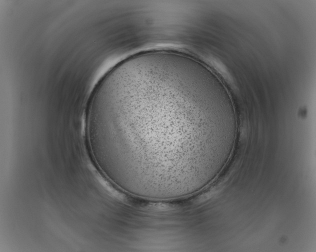 X0000091951420200709271317