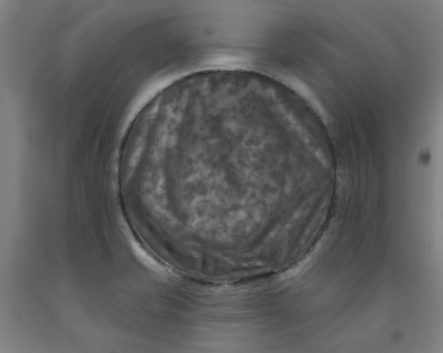 X0000091951421200709271317