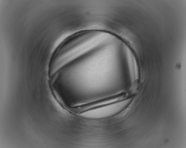 X0000091951422200709271317