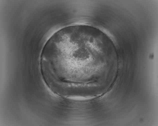 X0000091951423200709271317