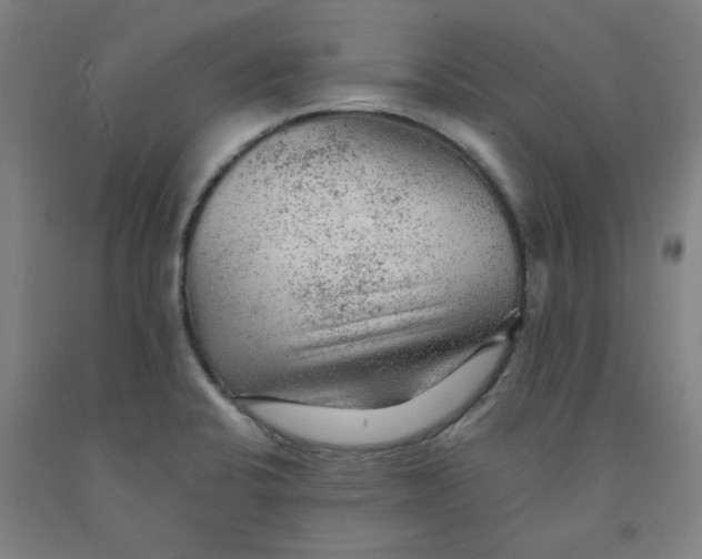 X0000091951424200709271317