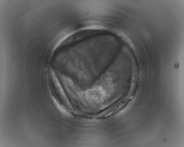 X0000091951425200709271317