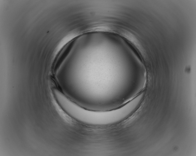 X0000091951426200709271317