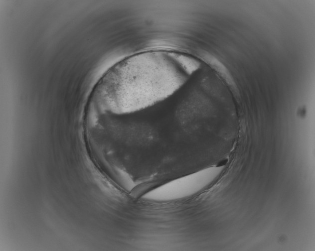 X0000091951427200709271317