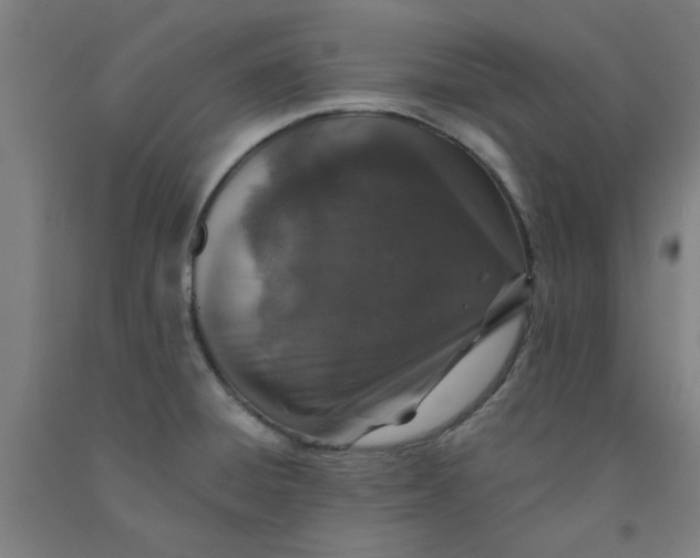 X0000091951428200709271317