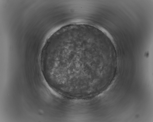 X0000091951429200709271317