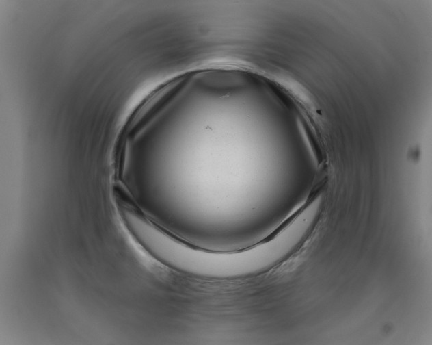 X0000091951430200709271317