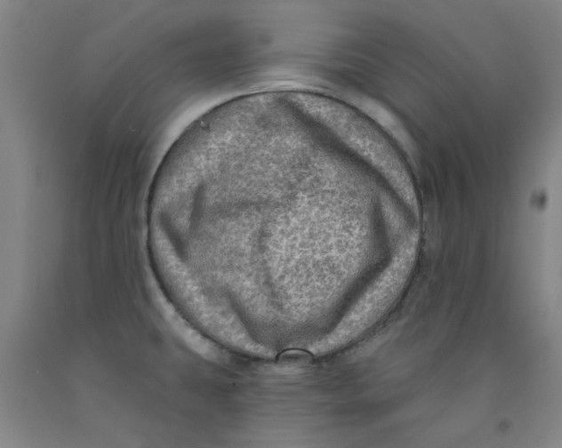 X0000091951431200709271317