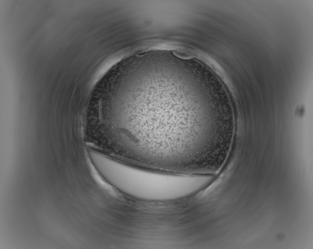 X0000091951433200709271317