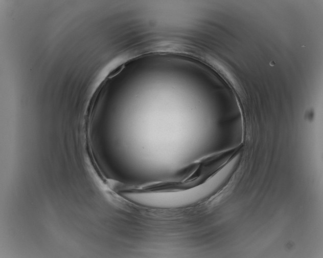 X0000091951434200709271317