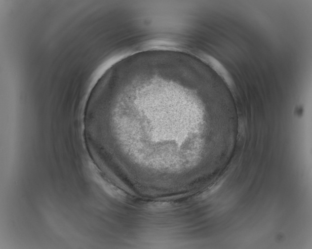 X0000091951435200709271317