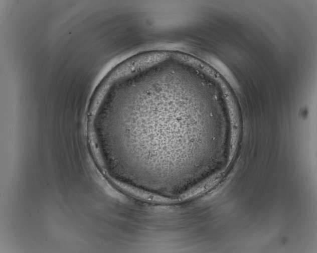 X0000091951436200709271317