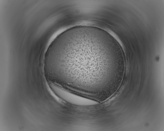 X0000091951437200709271317