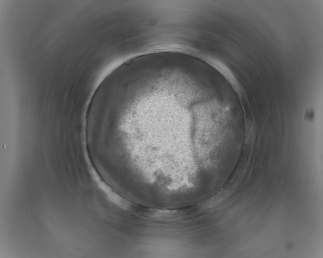 X0000091951439200709271317