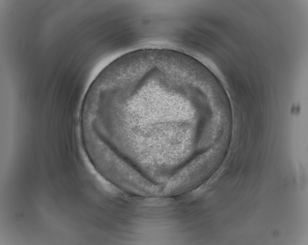 X0000091951440200709271317