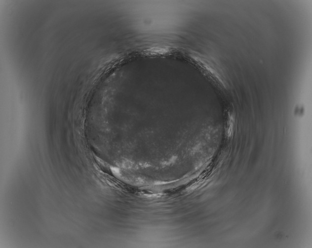 X0000091951441200709271316