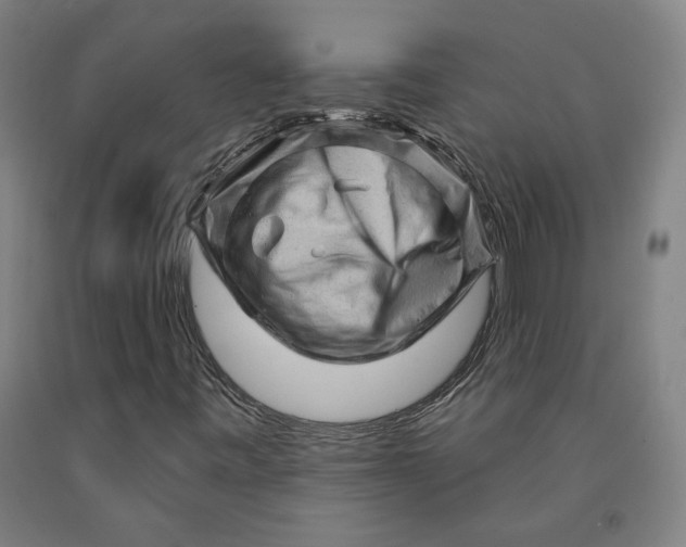 X0000091951443200709271316