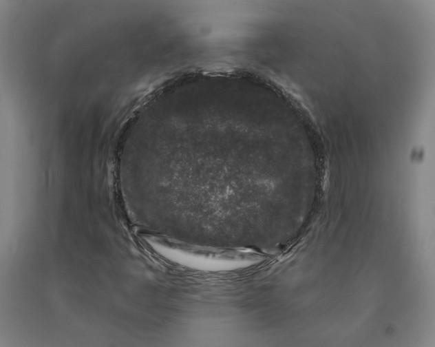 X0000091951445200709271316