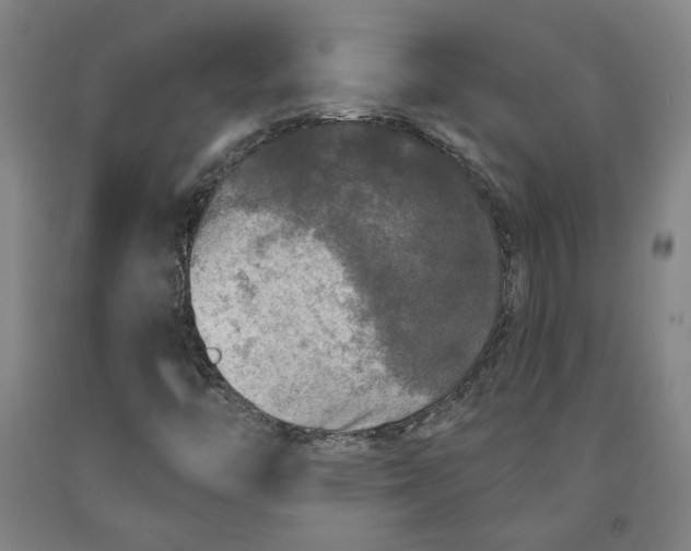 X0000091951446200709271316