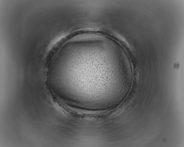 X0000091951448200709271316