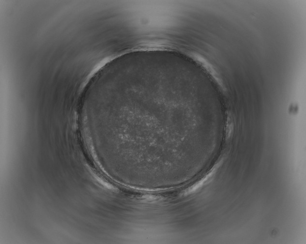 X0000091951449200709271316