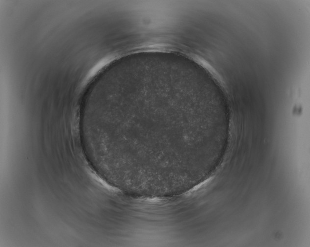 X0000091951450200709271316