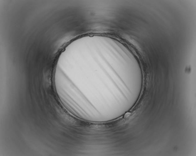 X0000091951451200709271316