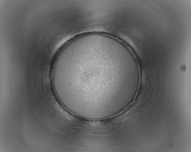 X0000091951452200709271316